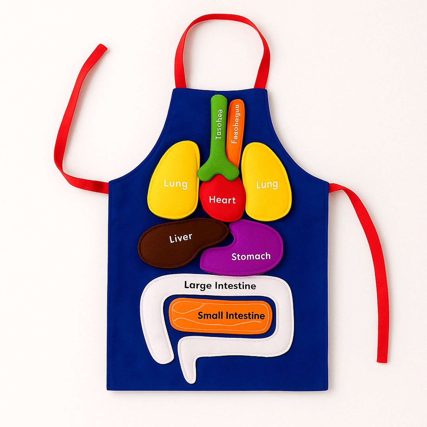 Delantal Montessori “Mi Cuerpo en 3D”