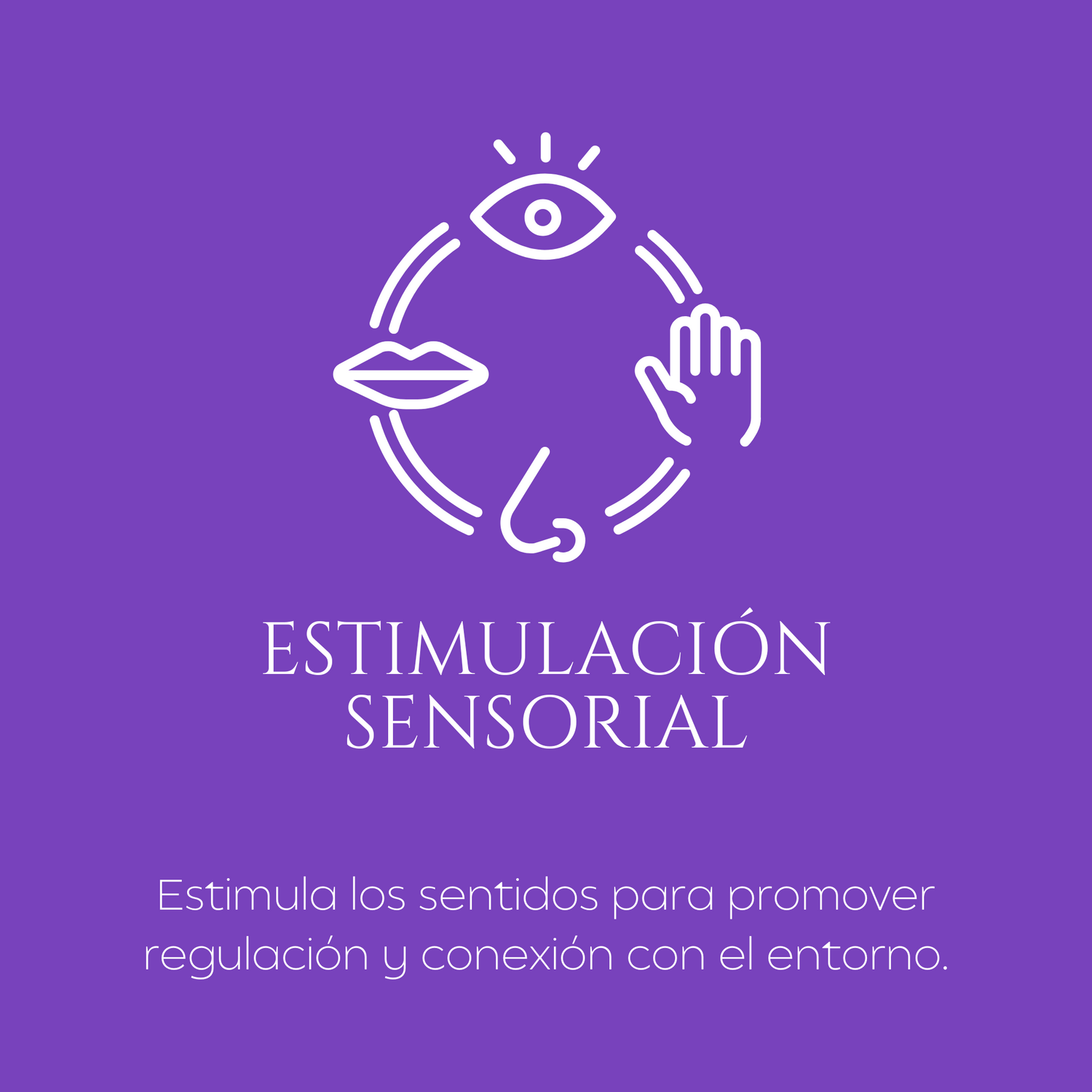 Estimulación Sensorial