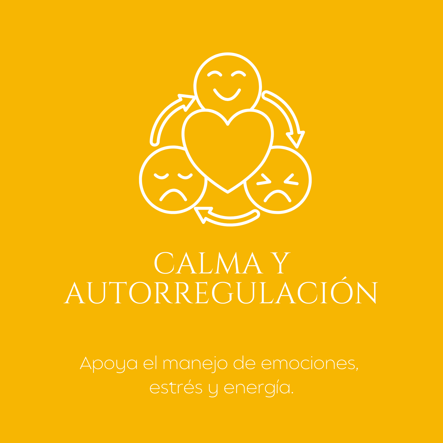 Calma y Autorregulación