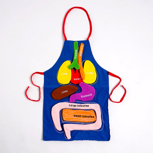 Delantal Montessori “Mi Cuerpo en 3D”